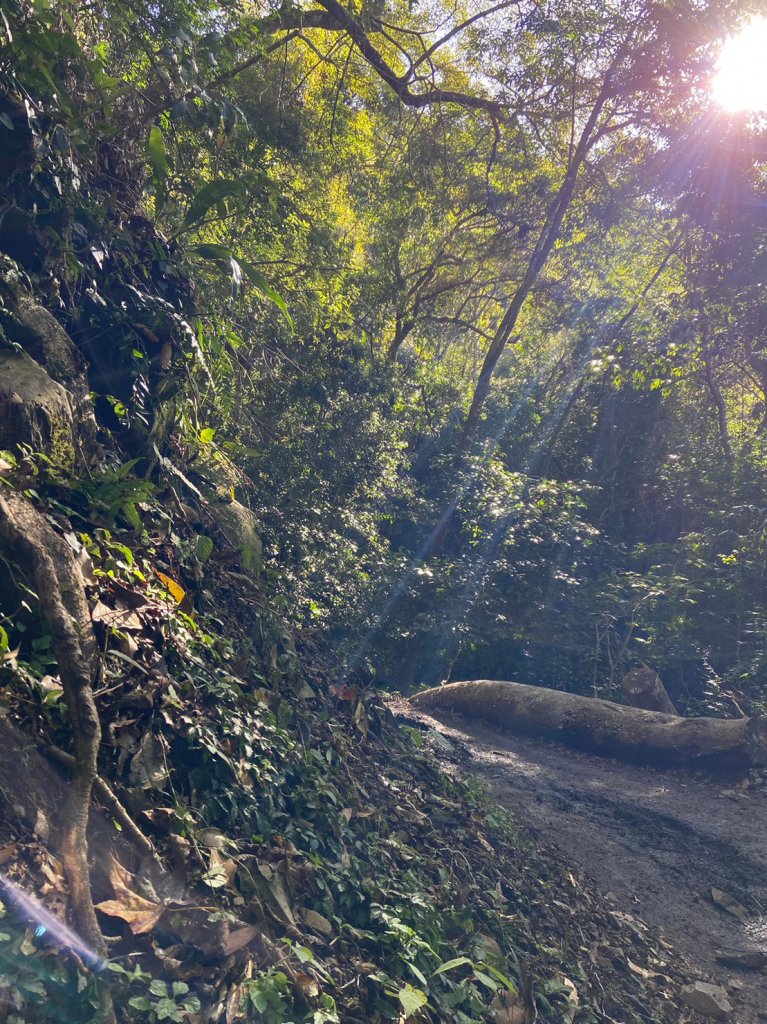 霞喀羅古道_1964606