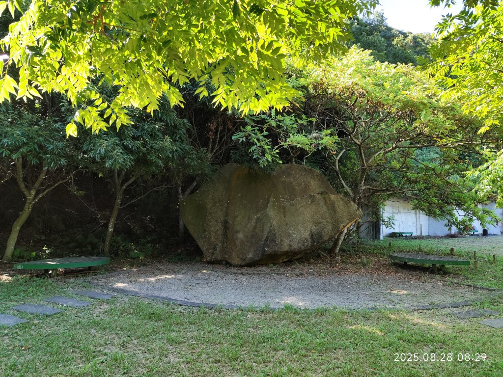 翠山步道、大崙頭尾山親山步道【臺北健走趣】_2874305