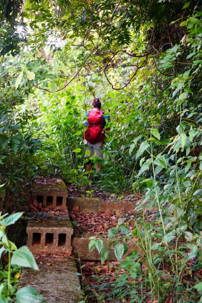 埔里彩蝶瀑布之國姓鄉眉冷山及糯米橋_1466203