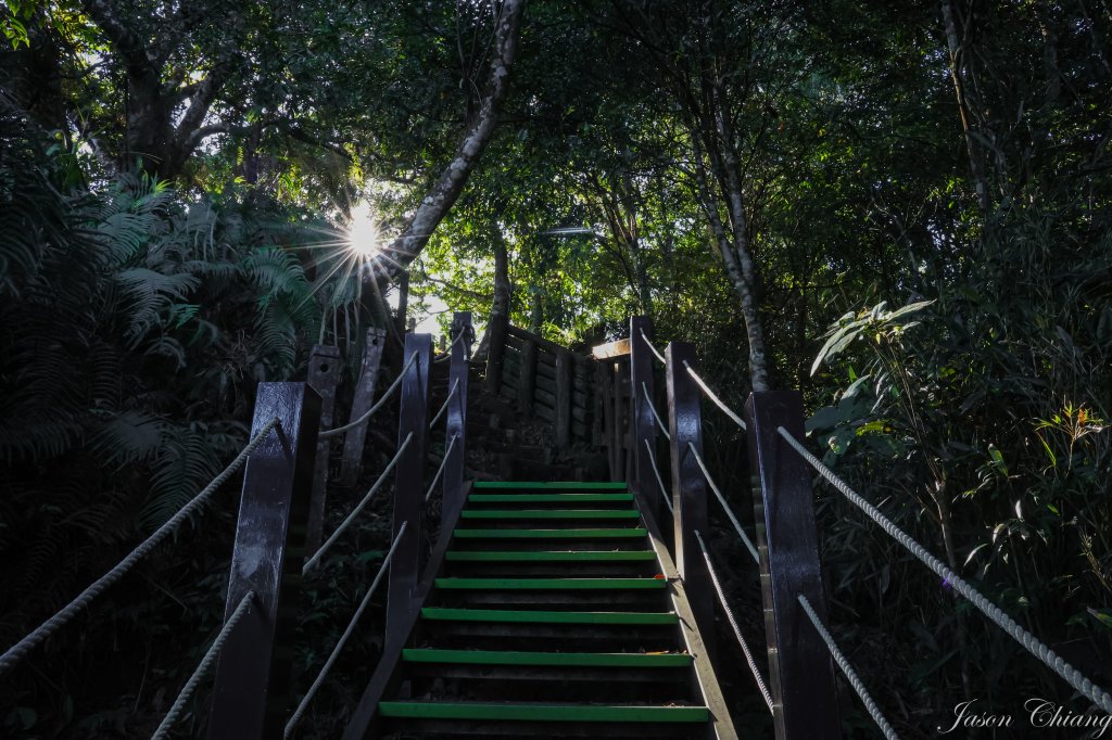 [苗栗]馬那邦山_2355141