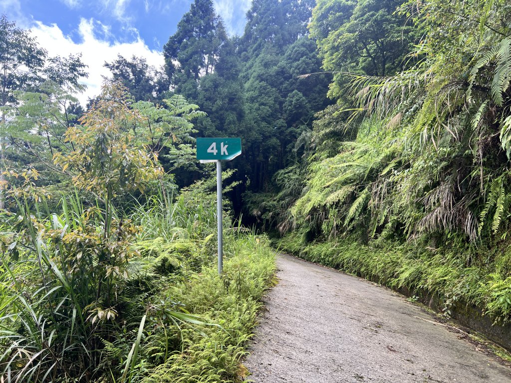 西巒大山 雙龍林道路線探索_2193411