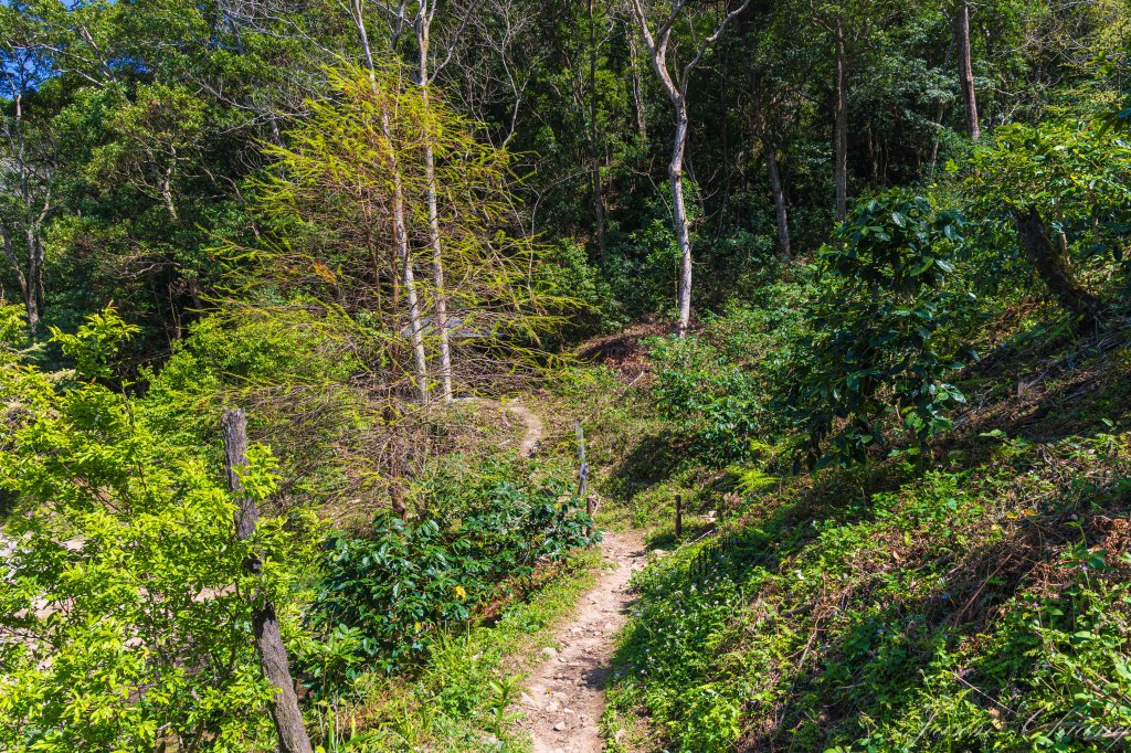 谷關七雄_唐麻丹山_3015605