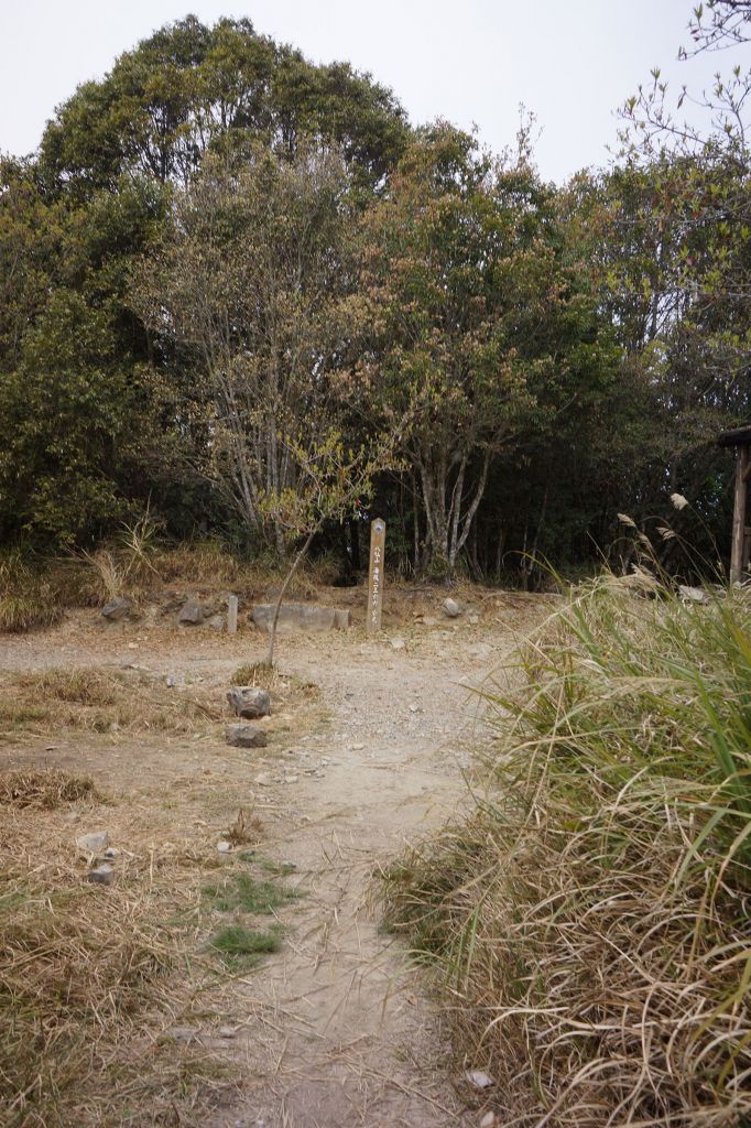 松鶴線八唐O縱_306535