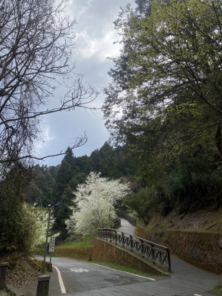 大塔山封面圖