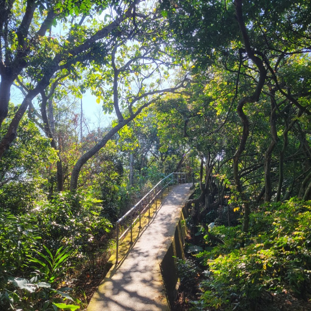 萬里長城步道O型封面圖