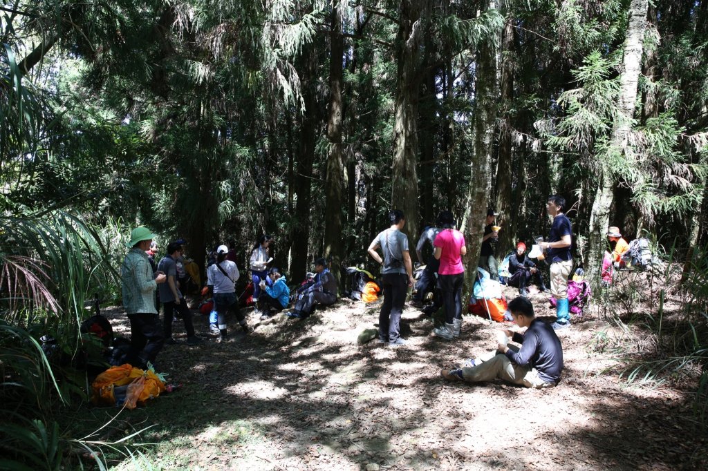 水樣森林 第一次在山裡過夜_658569