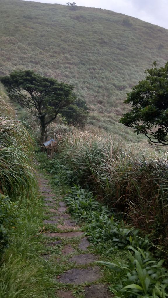 陽明山東西大縱走活動_403480
