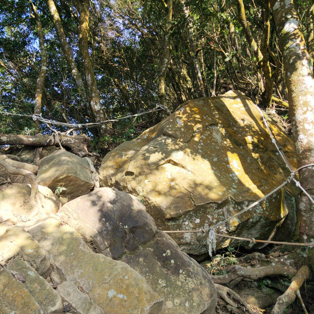 小百岳(33)-仙山-20211030_1674322