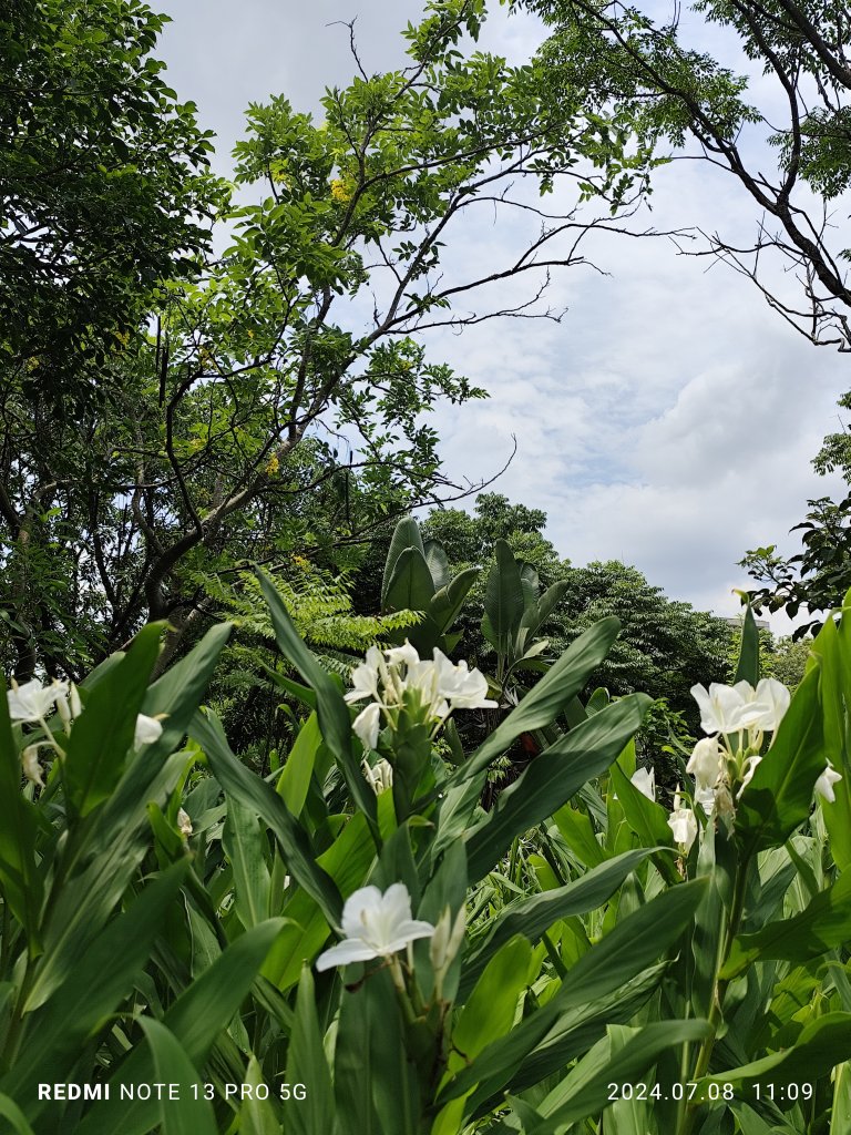 大安森林公園、大港墘公園【走路趣尋寶】【臺北健走趣】_2548536