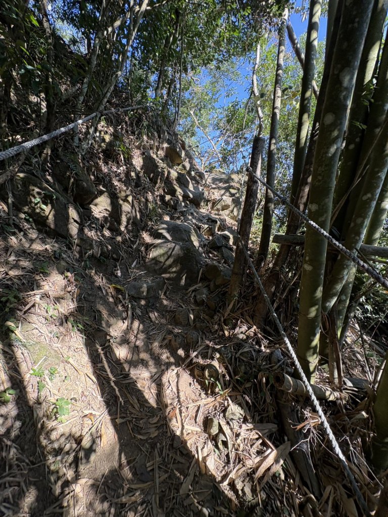 20251123台南－獵鷹尖一線天步道_2944550