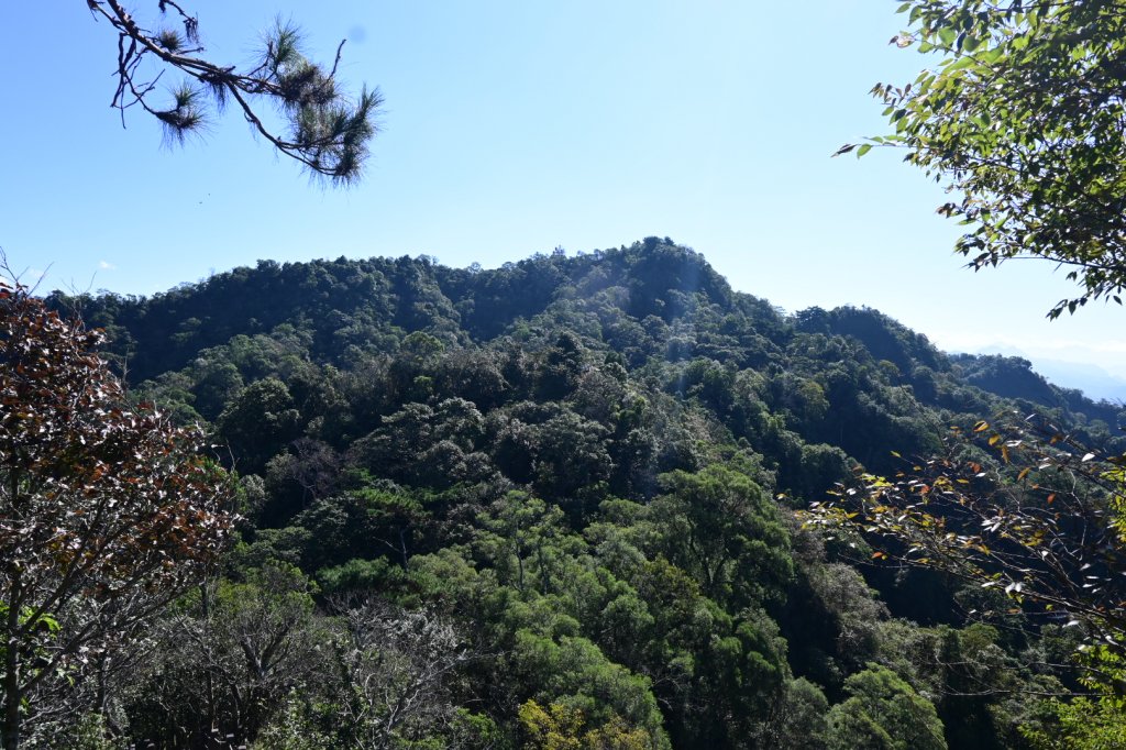 110.11.19 大坑五號、五之一號步道_1519310