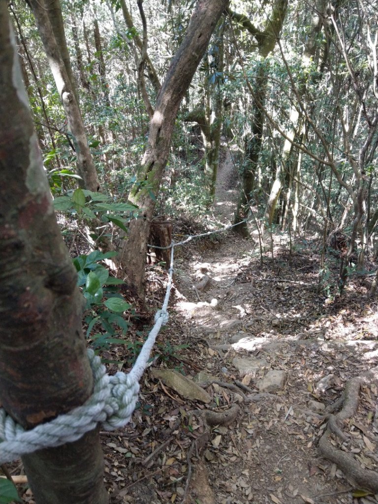 谷關七雄之屋我尾山（3）（大雪山登山口）_755839