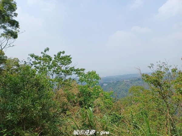 【彰化員林】員林百果山上最具人氣的休閒步道。 台灣百大必訪步道。 藤山步道_1689500