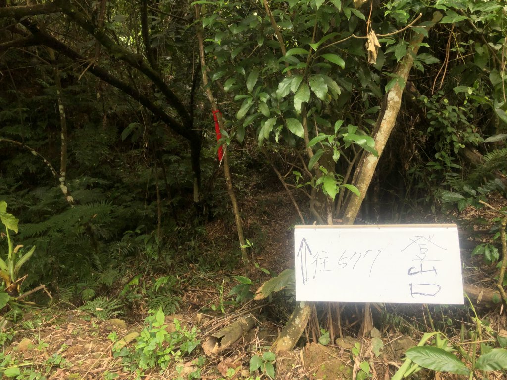 2021/09/05小百岳 溪洲山O繞_1453730