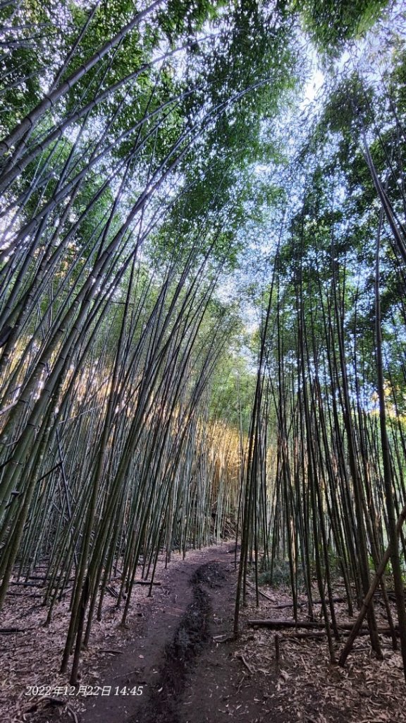 2022霞喀羅古道精華段/養老-白石吊橋賞🍁楓趣_1970425