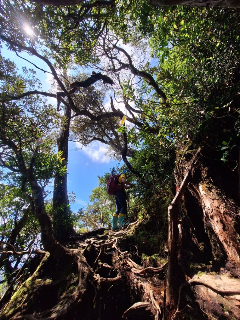 嘎色鬧上那結山_2575543