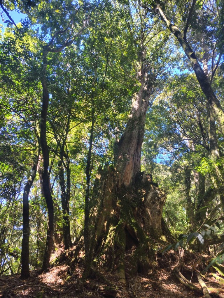 守關山南峰 守關山 守城大山_2919149