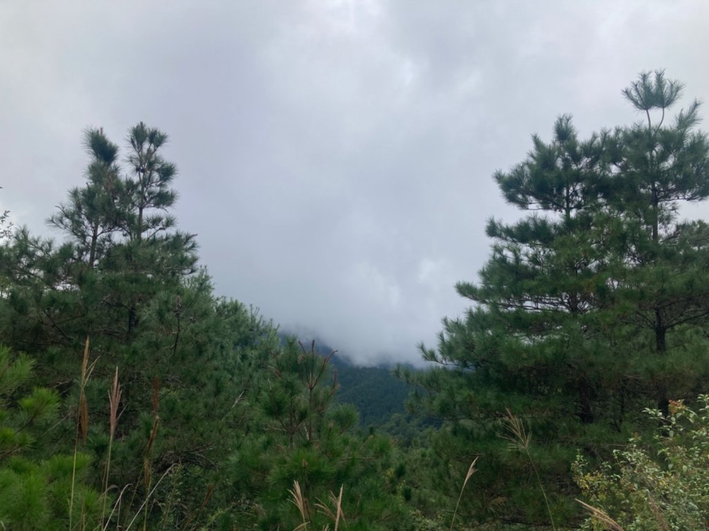 雲霧步道_2316078