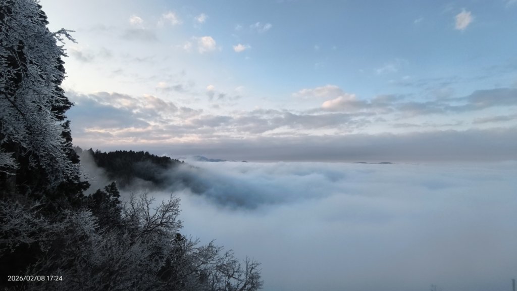 #霧淞 #雲海 #雲瀑 #霧虹 #太平山 #望洋山 #觀雲步道 #翠峰道路  2/8_2995309
