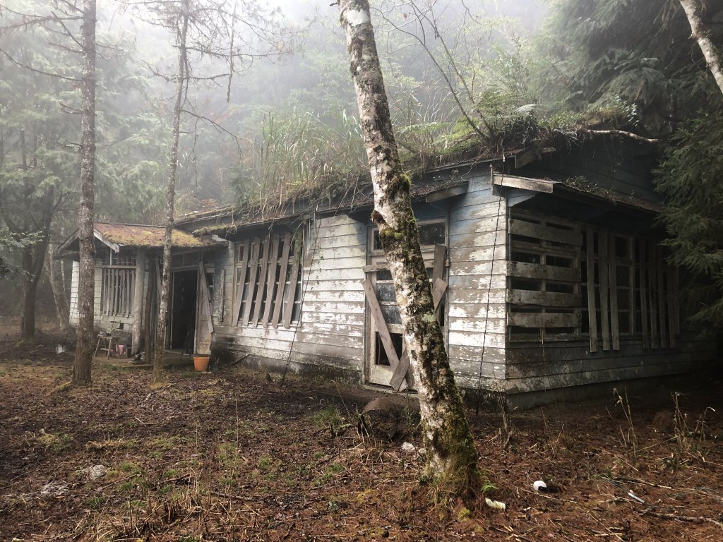 奇萊東稜下嵐山封面圖