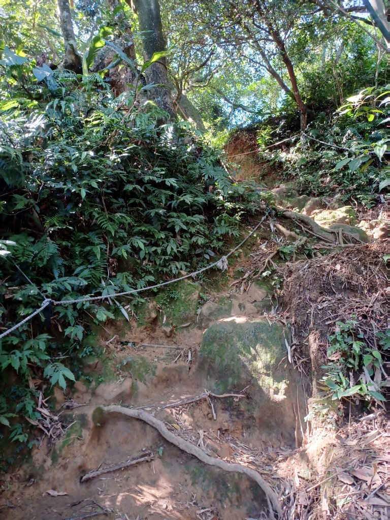 【桃園龍潭】蓊鬱山林。桃園石門山步道_2679289