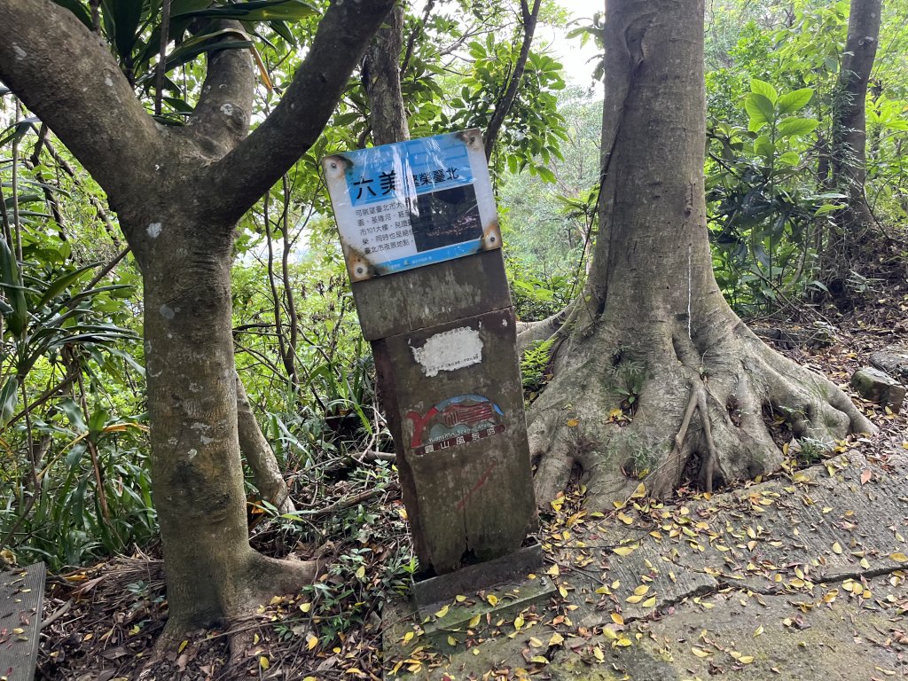 [山頂鳥40周年會員大縱走-14/15] 2024_0804 劍潭山親山步道_2566183