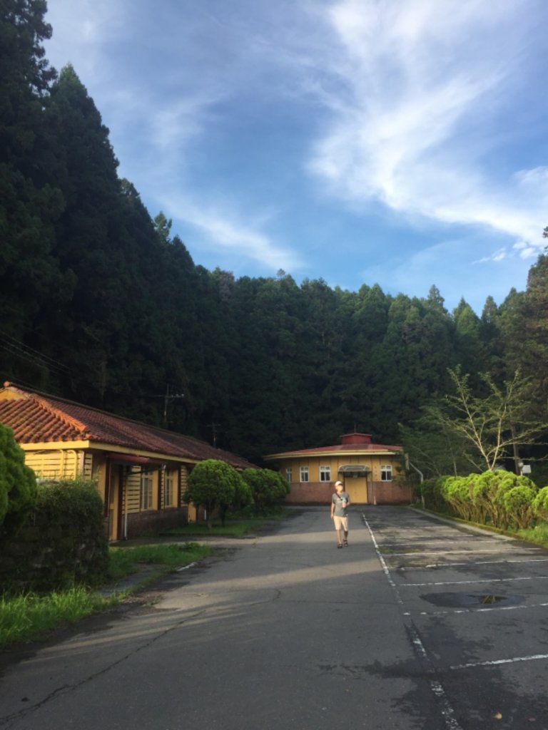 慢遊阿里山公路-二萬坪-十字路-太瑞公路_1432976