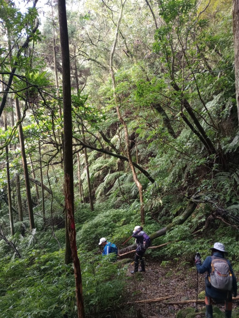 雷公埤山-鱷魚島觀景-小格頭獅頭山_2001481