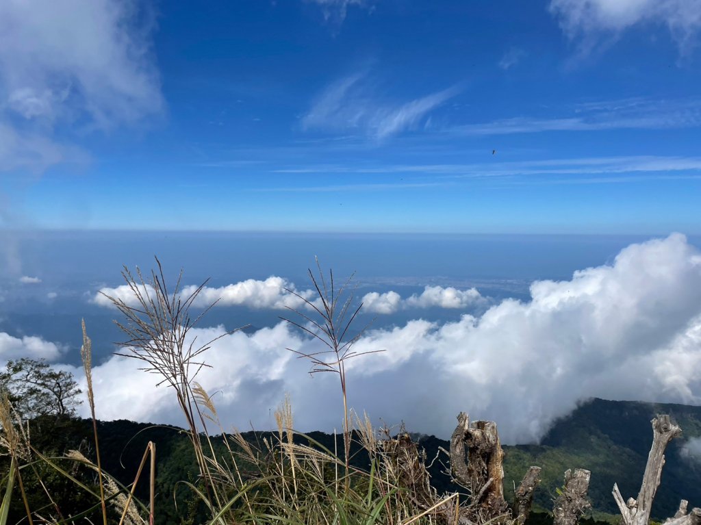 加里山封面圖