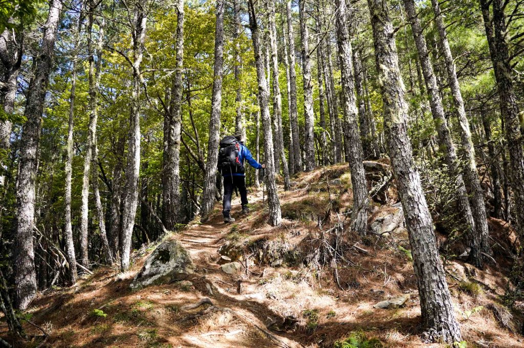 戒茂斯上嘉明湖三天兩夜_2769403