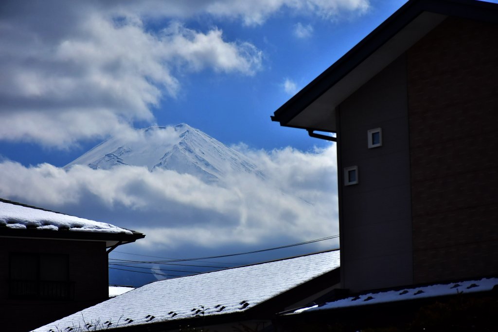 20250316日本旅遊自由行旅拍_2783170