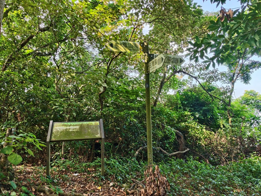【員林】隴頂古道連走萬里長城及藤山步道O繞_2871780
