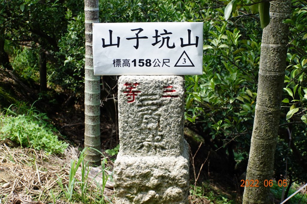 嘉義 竹崎 山子坑山封面圖