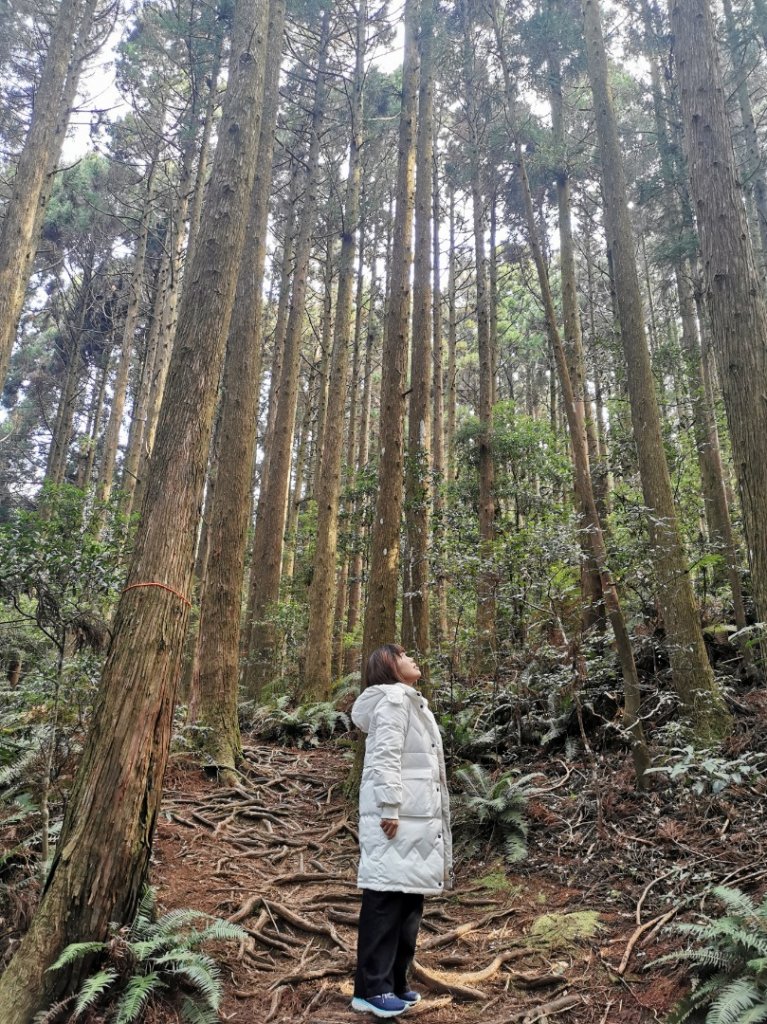 野馬瞰山步道封面圖