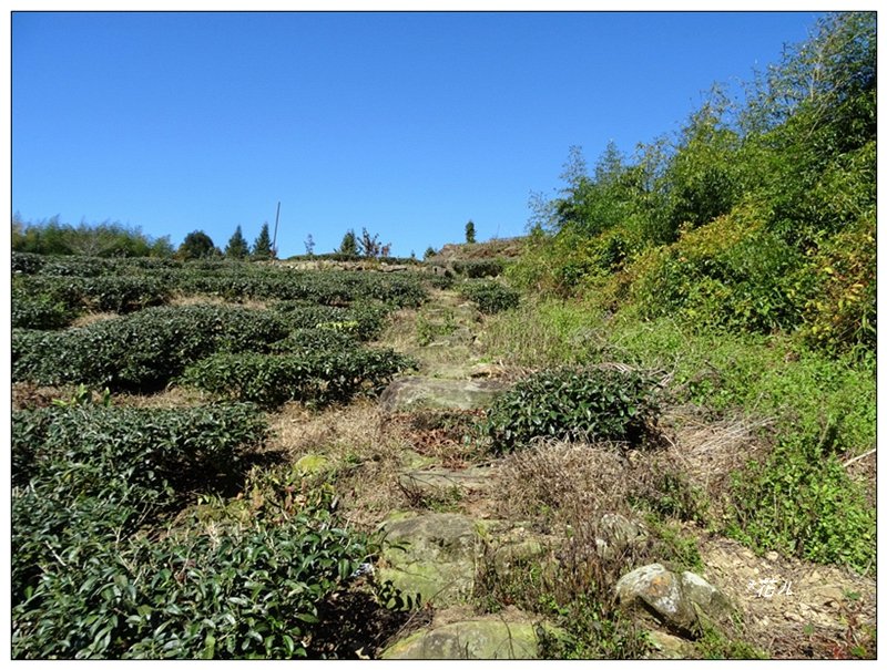 隙頂山/嘉義、番路_1617465