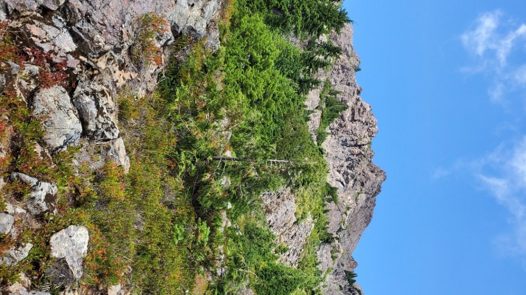 華盛頓州 - Mt.Washington封面圖