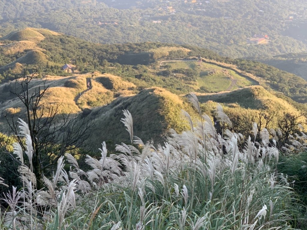 七星山步道賞芒趣_450207