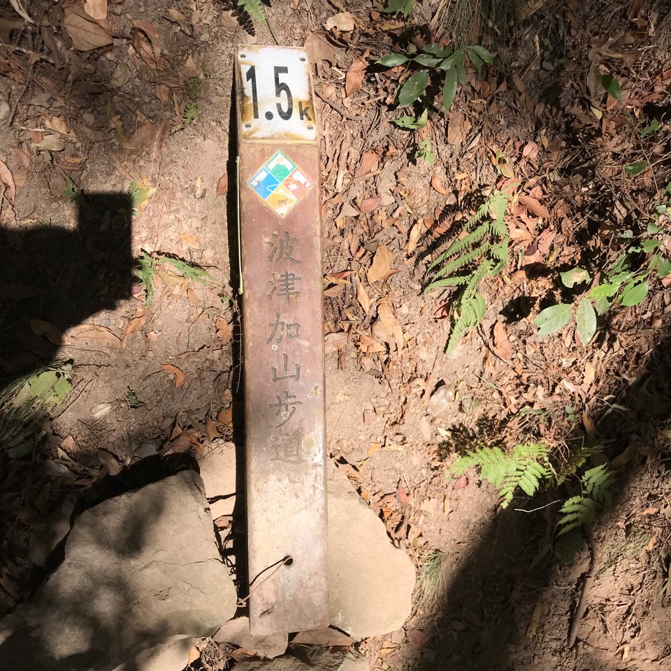 谷關七雄 波津加山（老四）2022.11.21_1922857