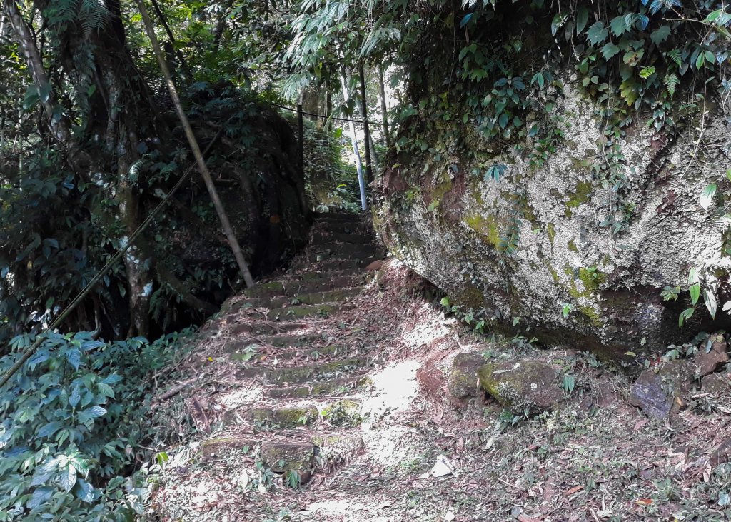 步道巡訪員 l 四大天王山七月巡訪日誌_1048231