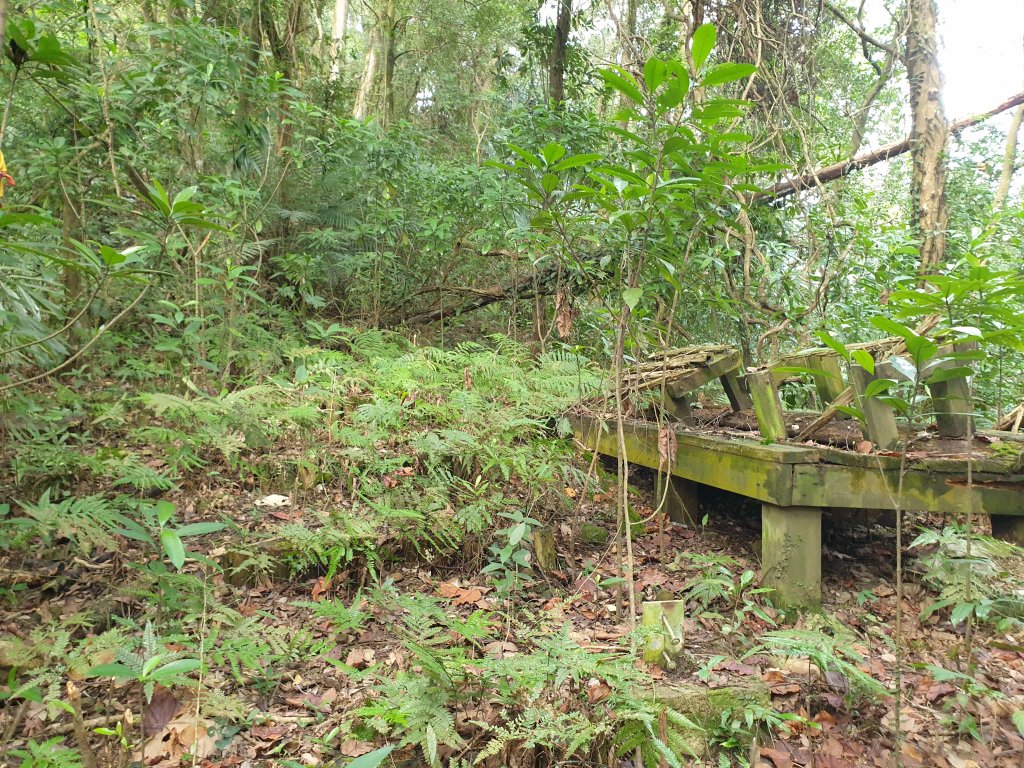 軟橋山封面圖