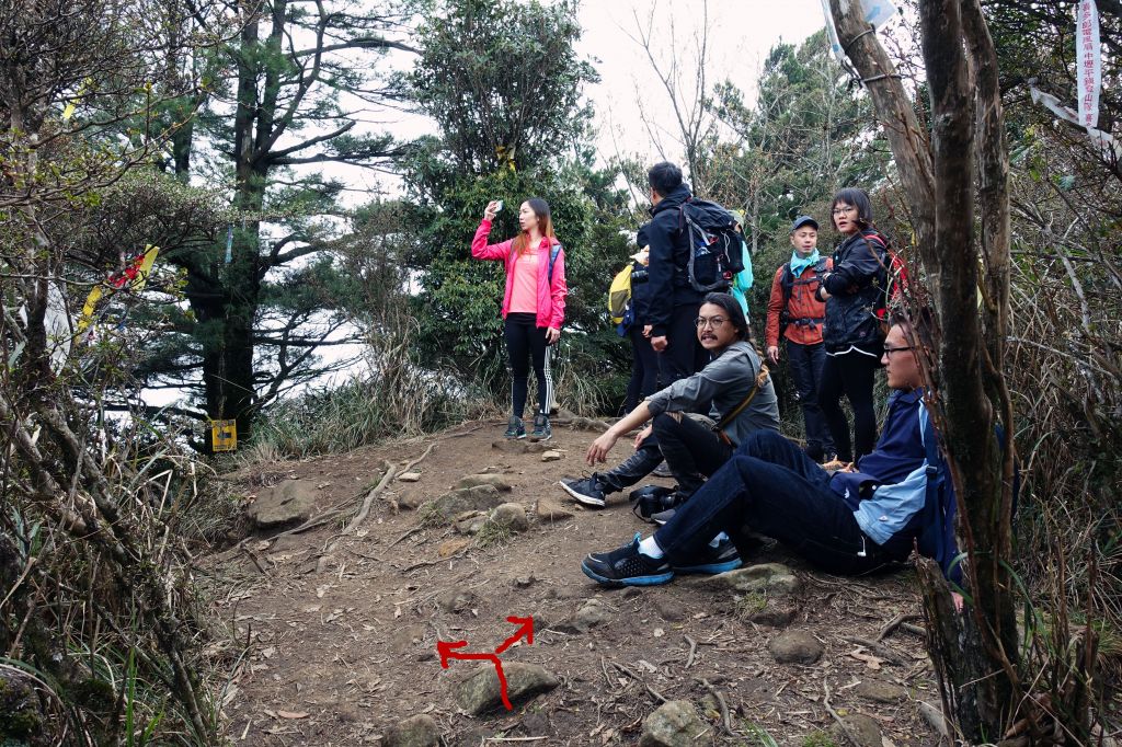 苗栗。加里山 大O型 2018.03.1_293769