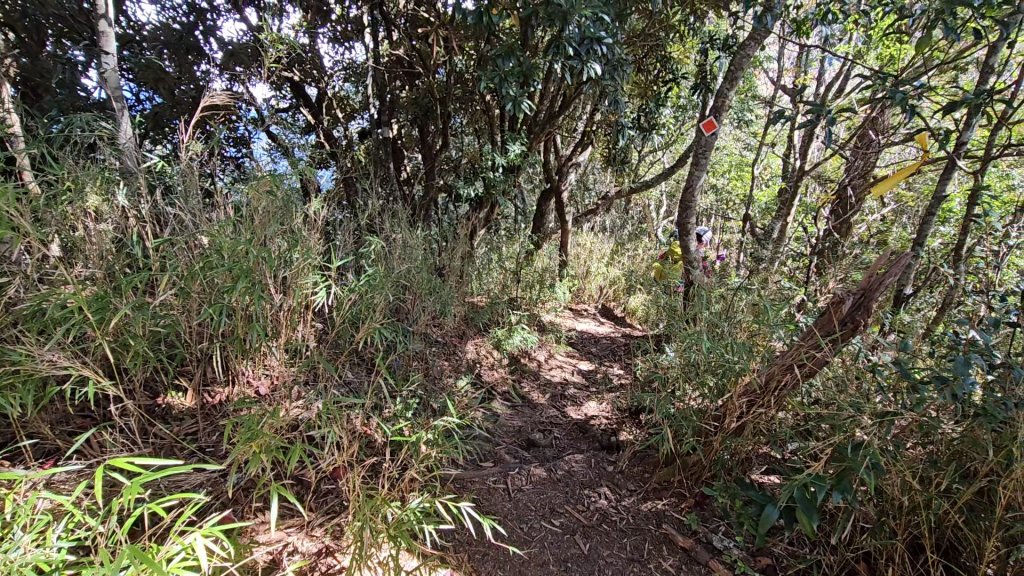 復興三尖之夫婦山_2356699