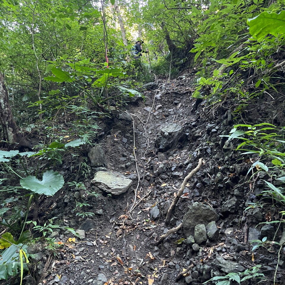 20251214_女仍山（屏東小百岳）_2968713