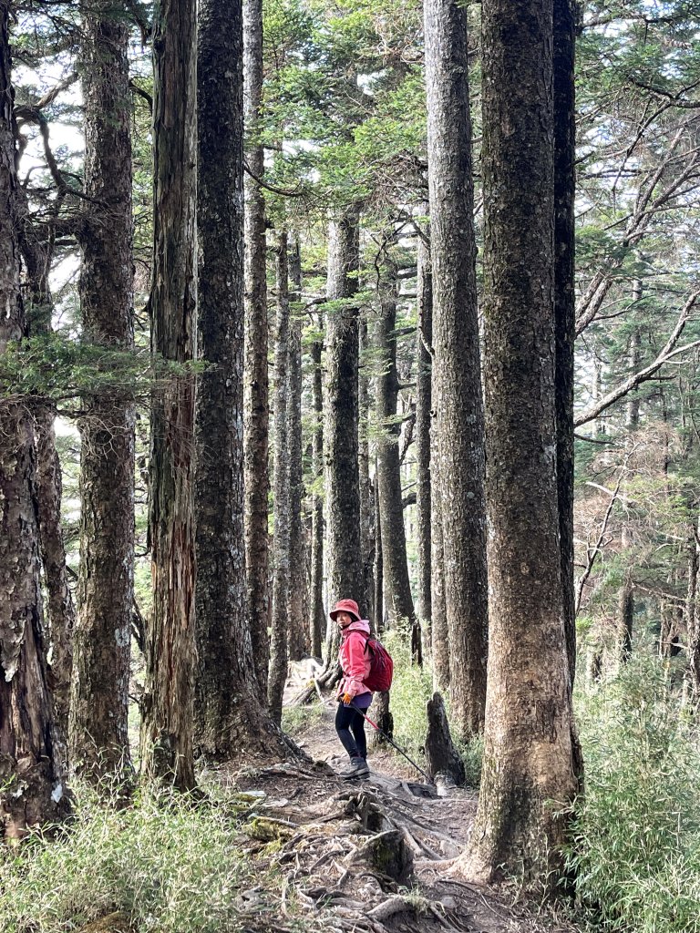 南橫 關山+庫哈諾辛山 二日 2023.03.12-13_2072606