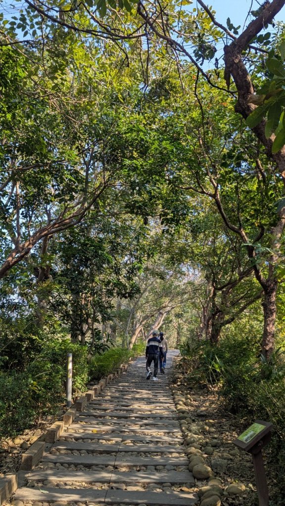 竹坑南寮登山步道_2719385