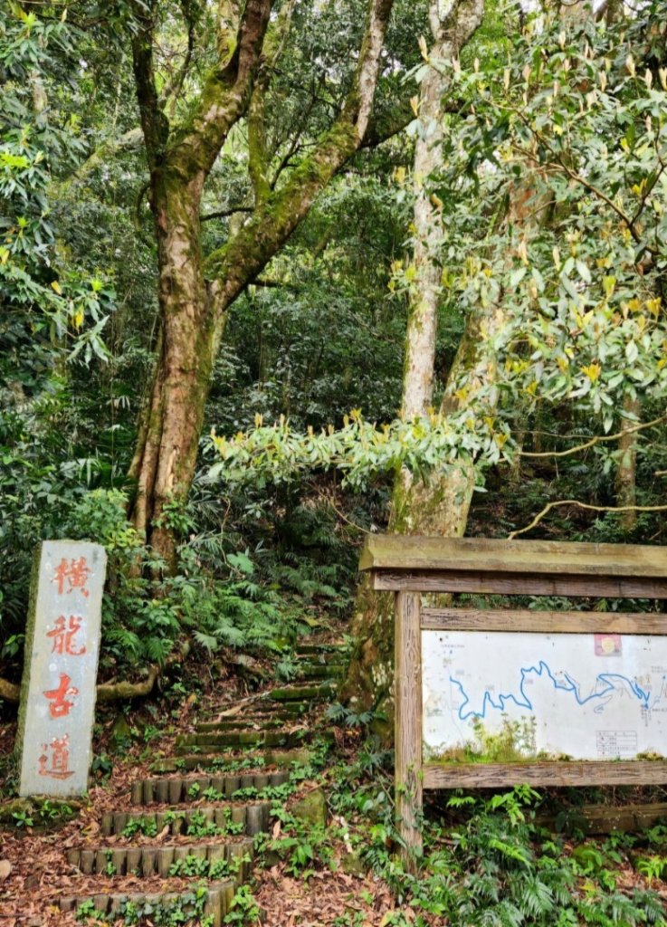 【中級山縱走】水雲三星，橫龍山，騰龍山，橫龍古道_2742953