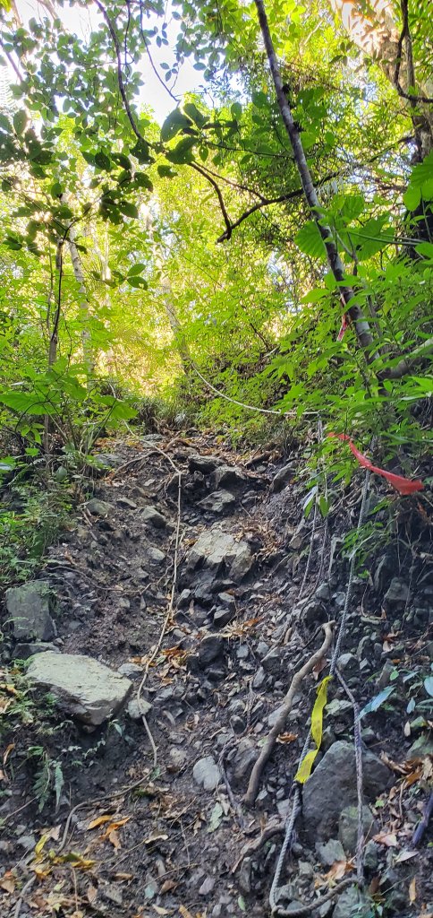 2023-01-26女仍山步道_2010999