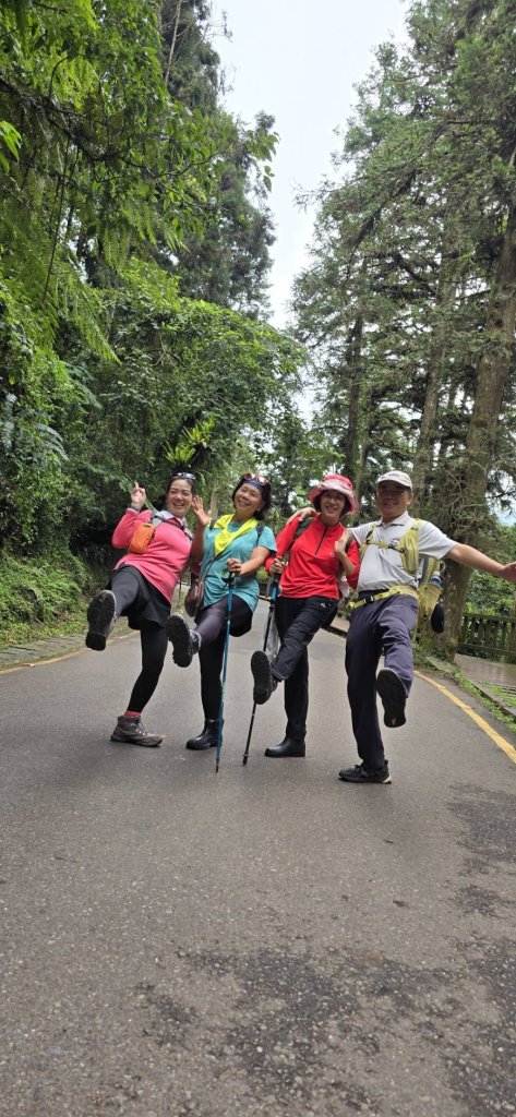 溪頭鳳凰林道_大學池_20240801_2577743