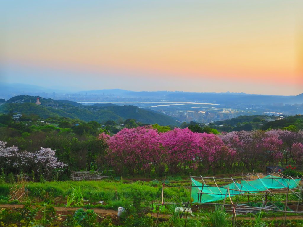 【台北北投】走十八份水圳步道 賞觀音山夕照_1743526