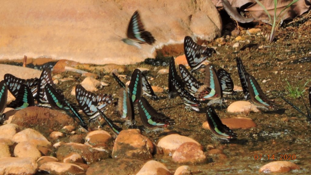 就是喜歡這個藍天白雲的FU_1032951